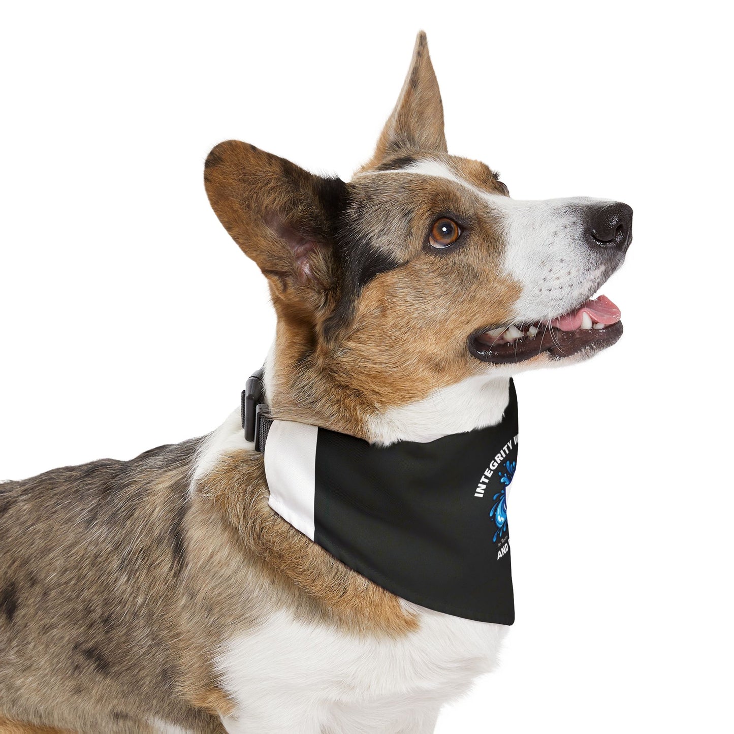 Pet Bandana