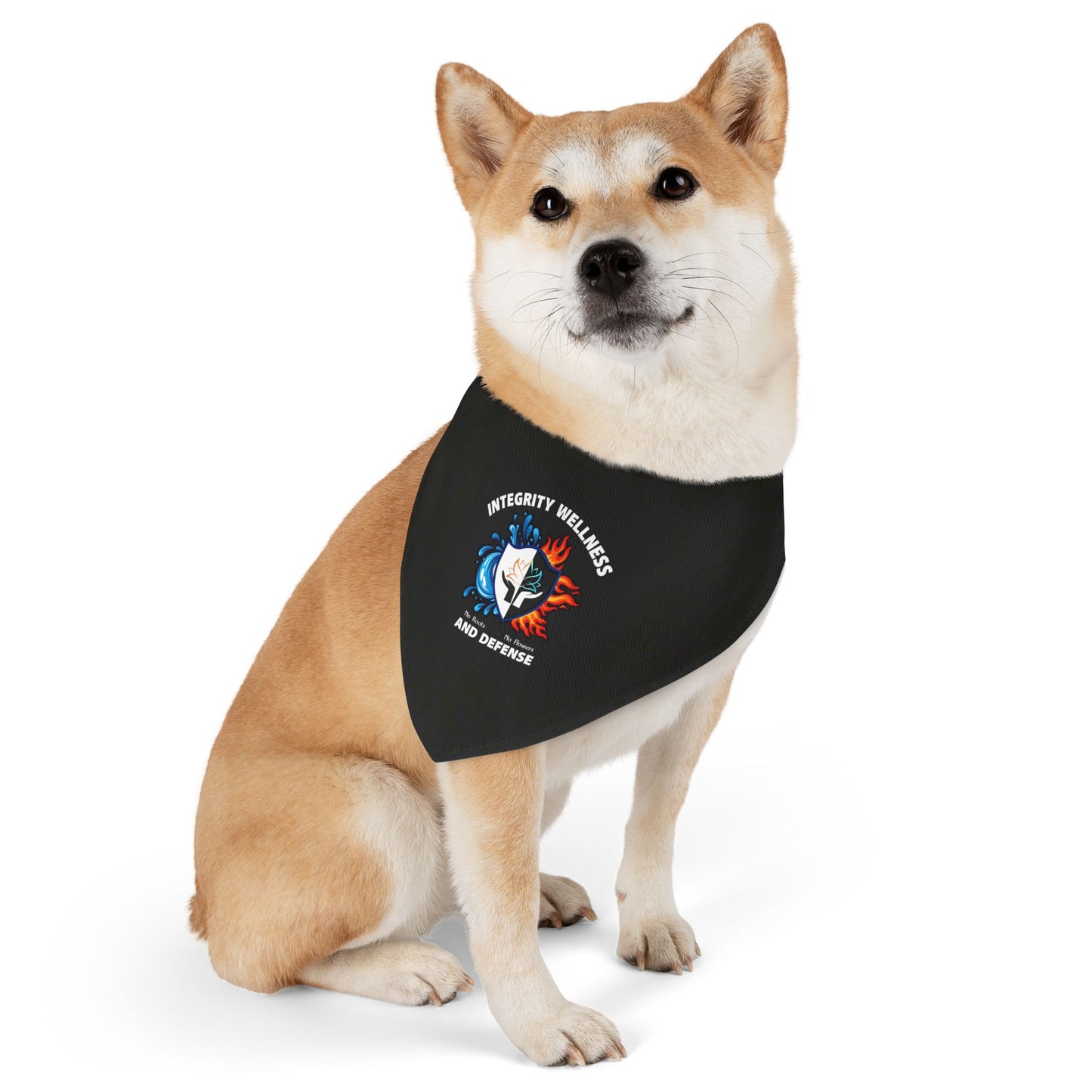Pet Bandana