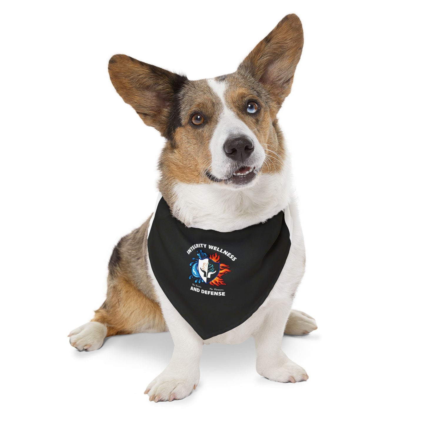 Pet Bandana