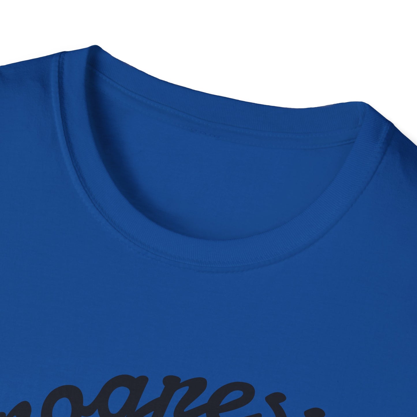 Customizable Unisex Softstyle T-Shirt, Personalized Gift, Casual Wear, Birthday Present, Creative Expression, Unique Style