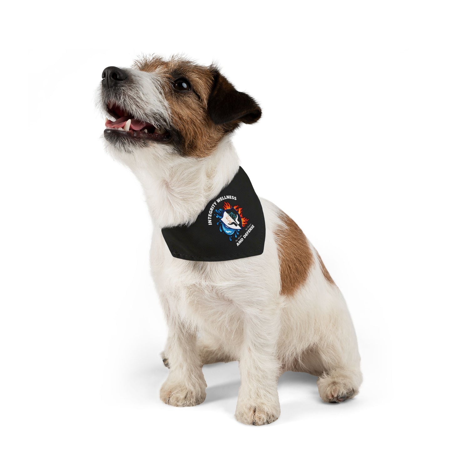 Pet Bandana